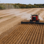 Republican senators blast FDA for expanding abortion pill access