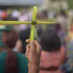 Is Nvidia next? Why is China lifting its ban on certain Nexperia chips