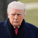 Amber Rose defends Charlie Kirk’s widow against online critics